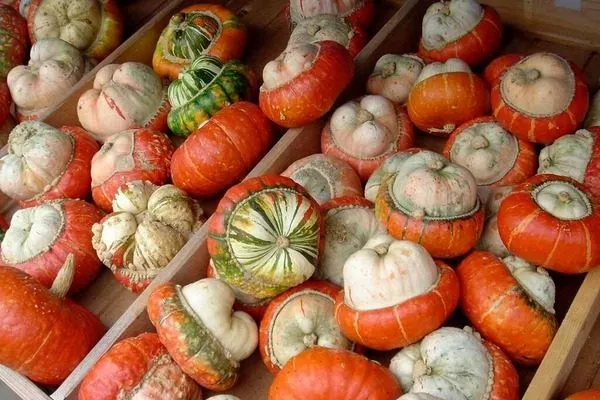 Турецкий тюрбан