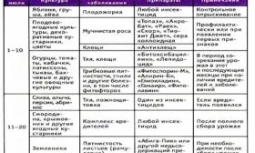 обработки огородных культур от болезней и вредителей, в том числе тыква декоративная