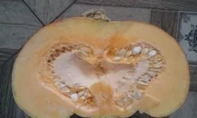 мякоть тыквы Турецкий тюрбан