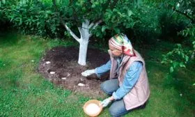 удобрение сухое Подкормка алычи43