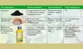 удобрения груши Память Жегалова25