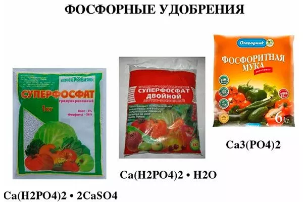 удобрения с фосфором для яблони52