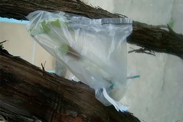 укрывной материал – плёнка или полиэтиленовый пакет