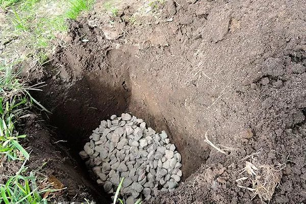 уложите на дно дренаж из гравия или битого кирпича пересадка пионов31