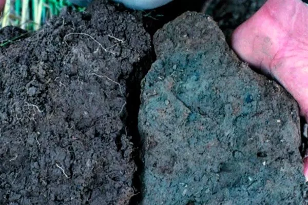 Уплотнение почвы Критерии выбора почвы24