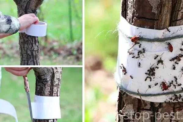 установка ловчих поясов