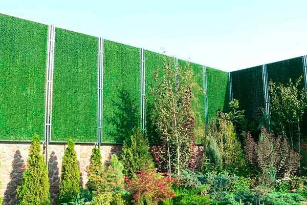 установка ветрозащитных экранов Осыпание сливы21