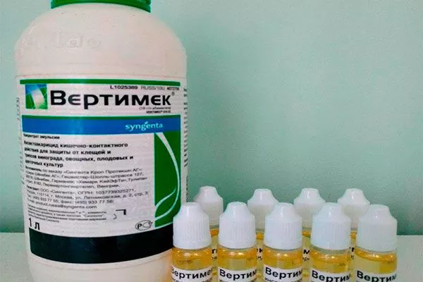 Вертимек трипсы11