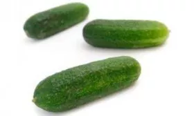 вкус и описание огурцов Шопен3