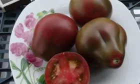 вкус томатов Винный кувшин4