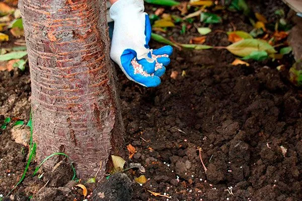 внесение удобрений