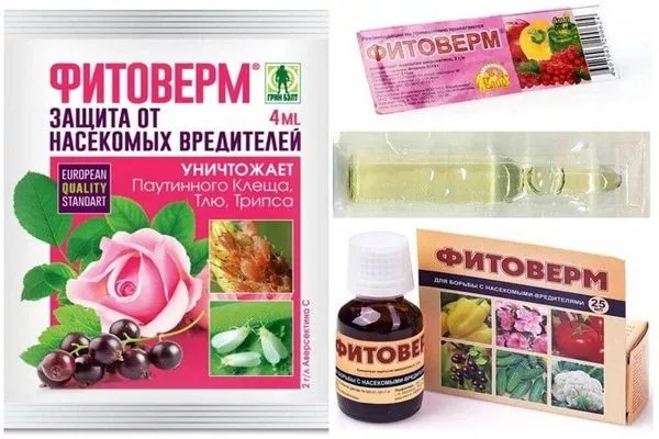 Фитоверм для обработки пиона