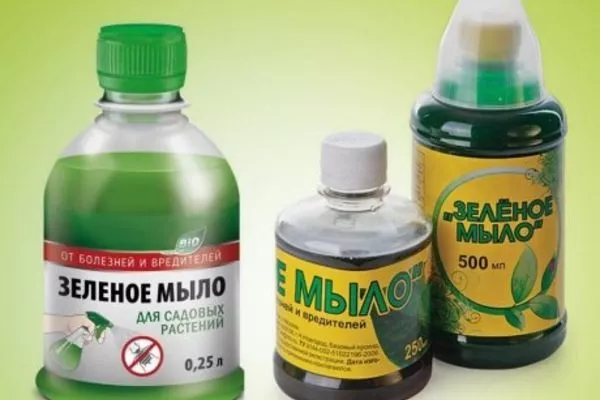 зелёное мыло от тли на пионах