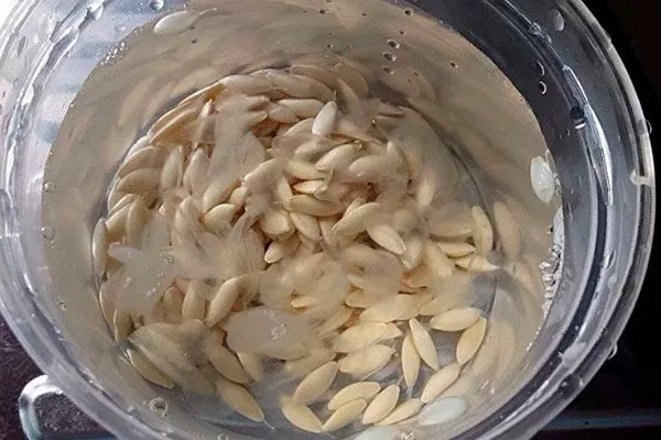 Замачивание огурцов Санькина любовь5