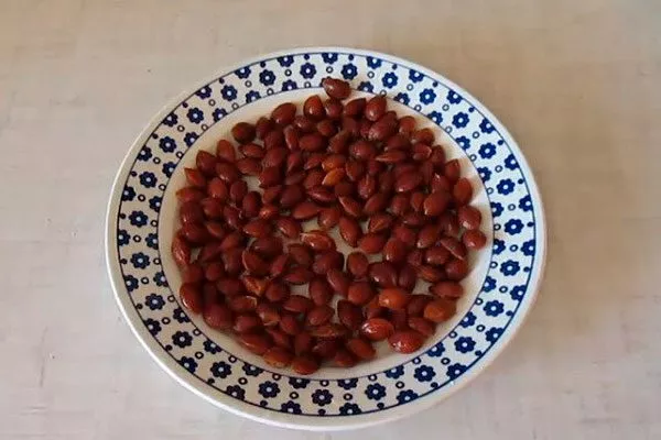 замочить размножение алычи6