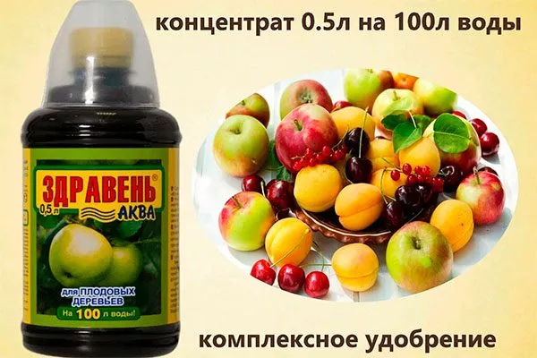 Здравень Аква для яблони13