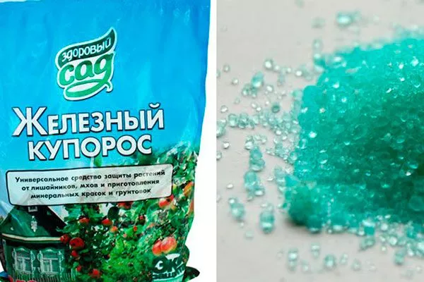 железный купорос от парши