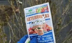 инсектицид для обработки Пушкинской