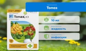 Топаз для обработки жимолости Изюминка от болезней