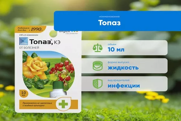 Топаз для обработки жимолости Изюминка от болезней