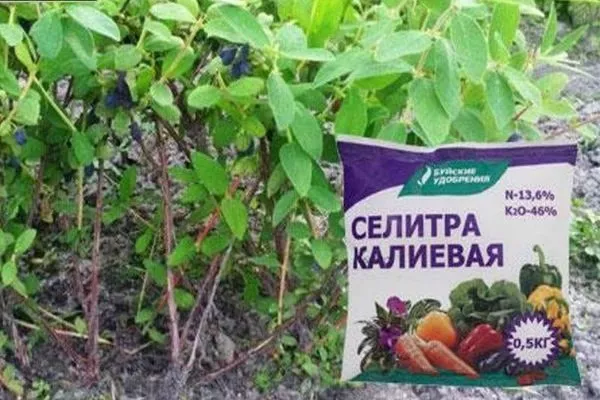 калийная подкормка для жимолости Изюминка