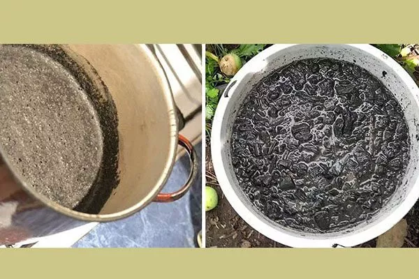 Зольный отвар Тля на груше17