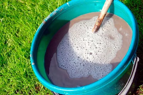 Зольный раствор