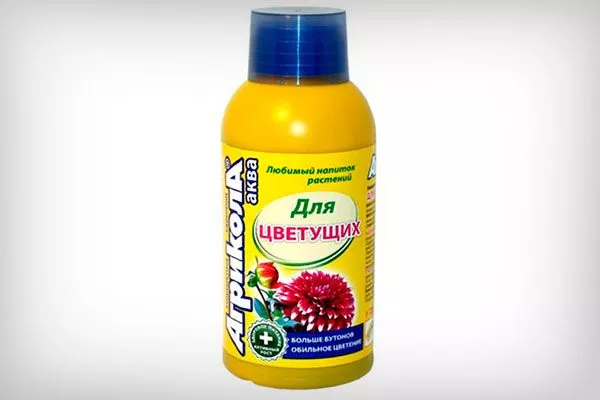 7076714374 стимулировать цветение1