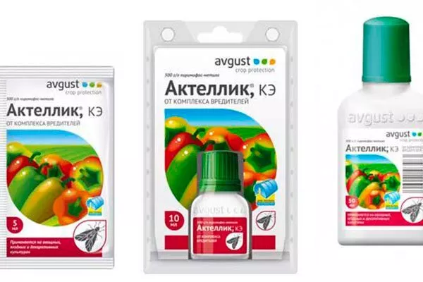 Актеллик Вариеготные фикусы9