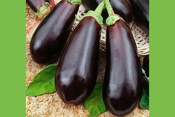 Алмаз Формировка баклажан1