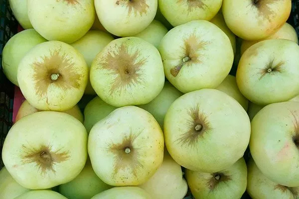 Антоновка333