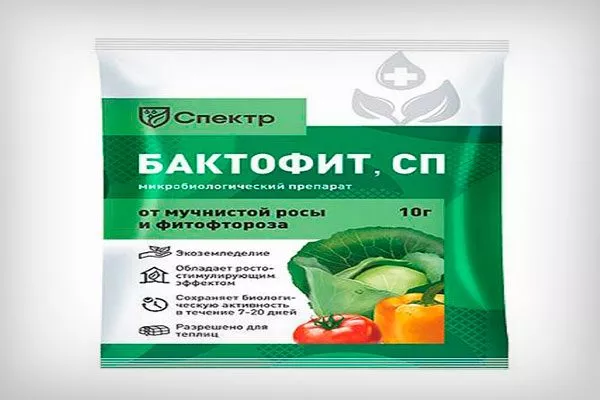 Бактофит укрыть пионы перед зимовкой4