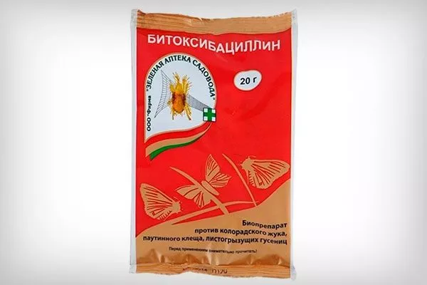 битобаксицилин укрыть пионы перед зимовкой5