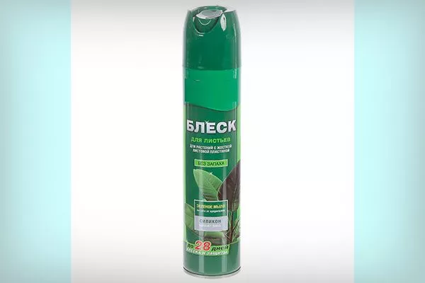 блеск для листьев Очистка пыли3