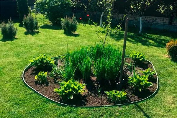 Бордюрные ленты