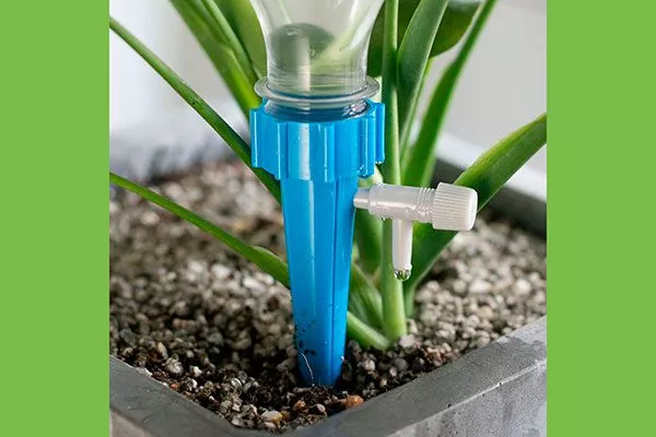 Бутылочный метод способы полива герани3