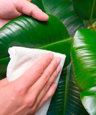 Частота проведения процедуры Очистка пыли17