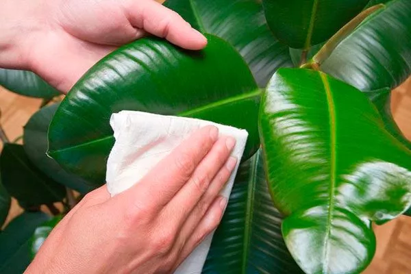 Частота проведения процедуры Очистка пыли17