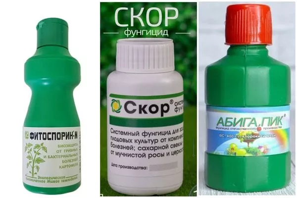 фунгициды для яблони