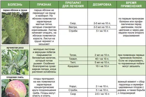 болезни яблонь и препараты для их лечения