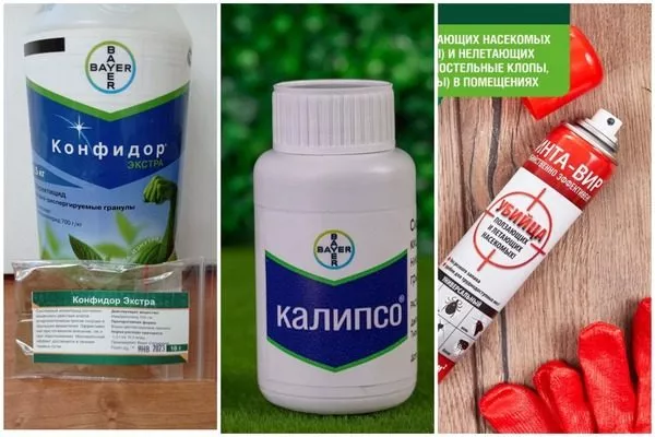 инсектициды для обработки яблони