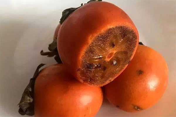 Chocolate Persimmon (Шоколадная хурма или Цудзуми) комнатная хурма2