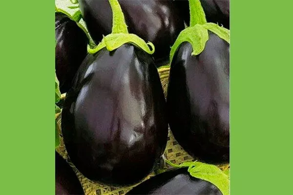 Деликатес Формировка баклажан9