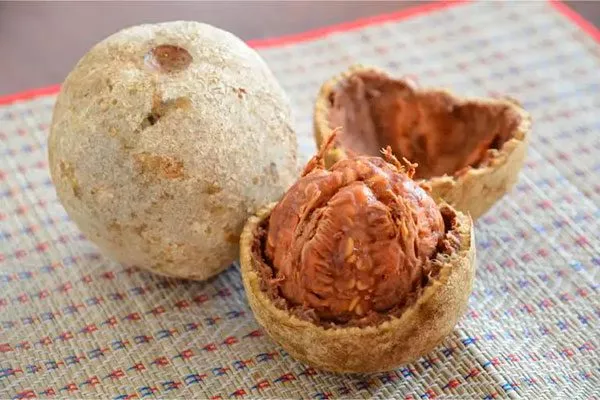 Деревянное яблоко1 сорта яблок с необычной формой4