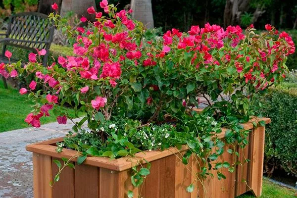 Деревянные контейнеры2 Типы горшков и контейнеров6