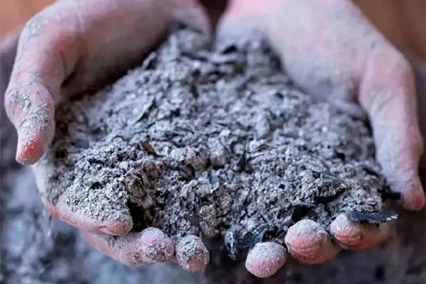 Древесная зола органическое садоводство7