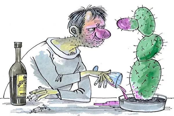 Друг алкоголиков Мифы о кактусах2
