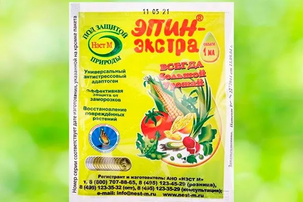 Эпин Фикус бенджамина52