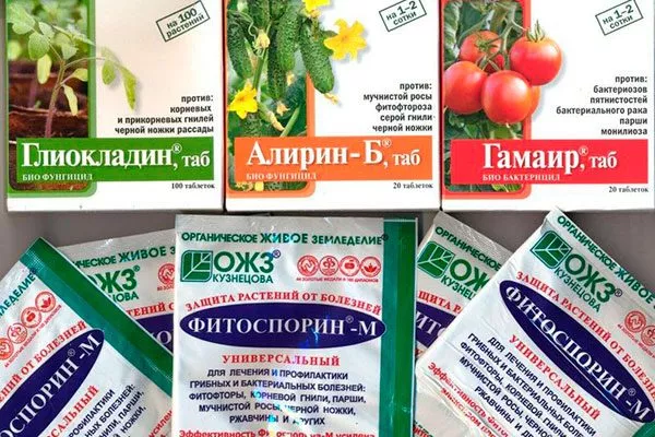 Фитоспорин-М органическое садоводство29