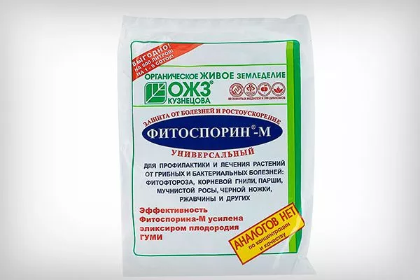 Фитоспорин-М укрыть пионы перед зимовкой42